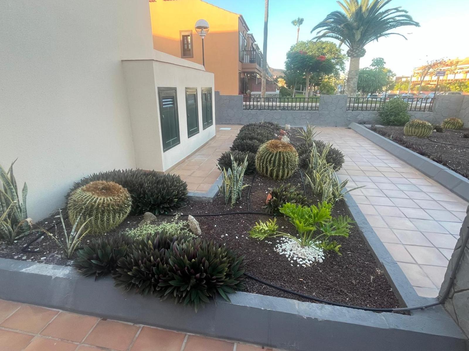 Apartamento Casa Montana Amarilla 60 Costa del Silencio Exterior foto